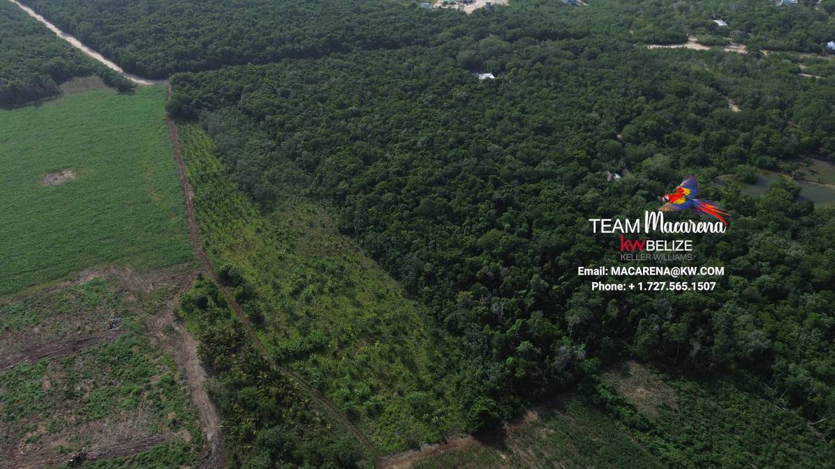 DCIM100MEDIADJI_0907.JPG 20-Acre Investment Property for Sale in Corozal