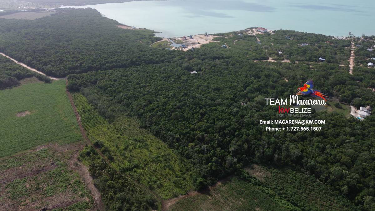 DCIM100MEDIADJI_0908.JPG 20-Acre Investment Property for Sale in Corozal
