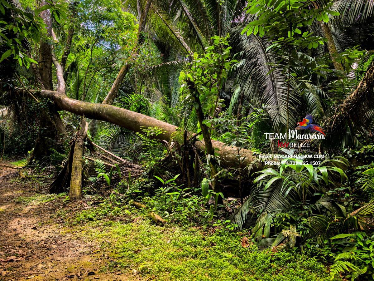 6,900-Acre Belize Investment Opportunity