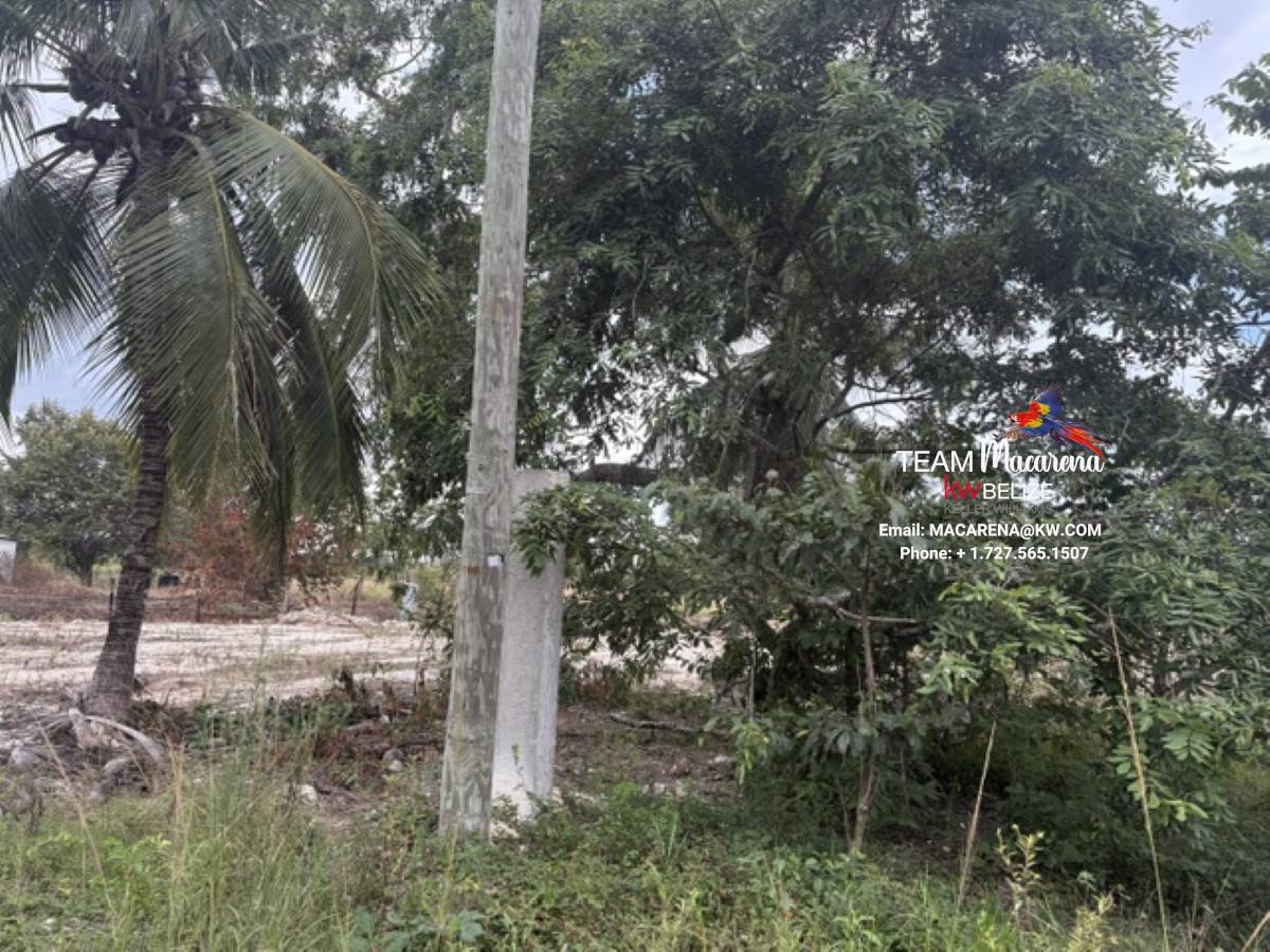 Affordable Land in Carmelita Village