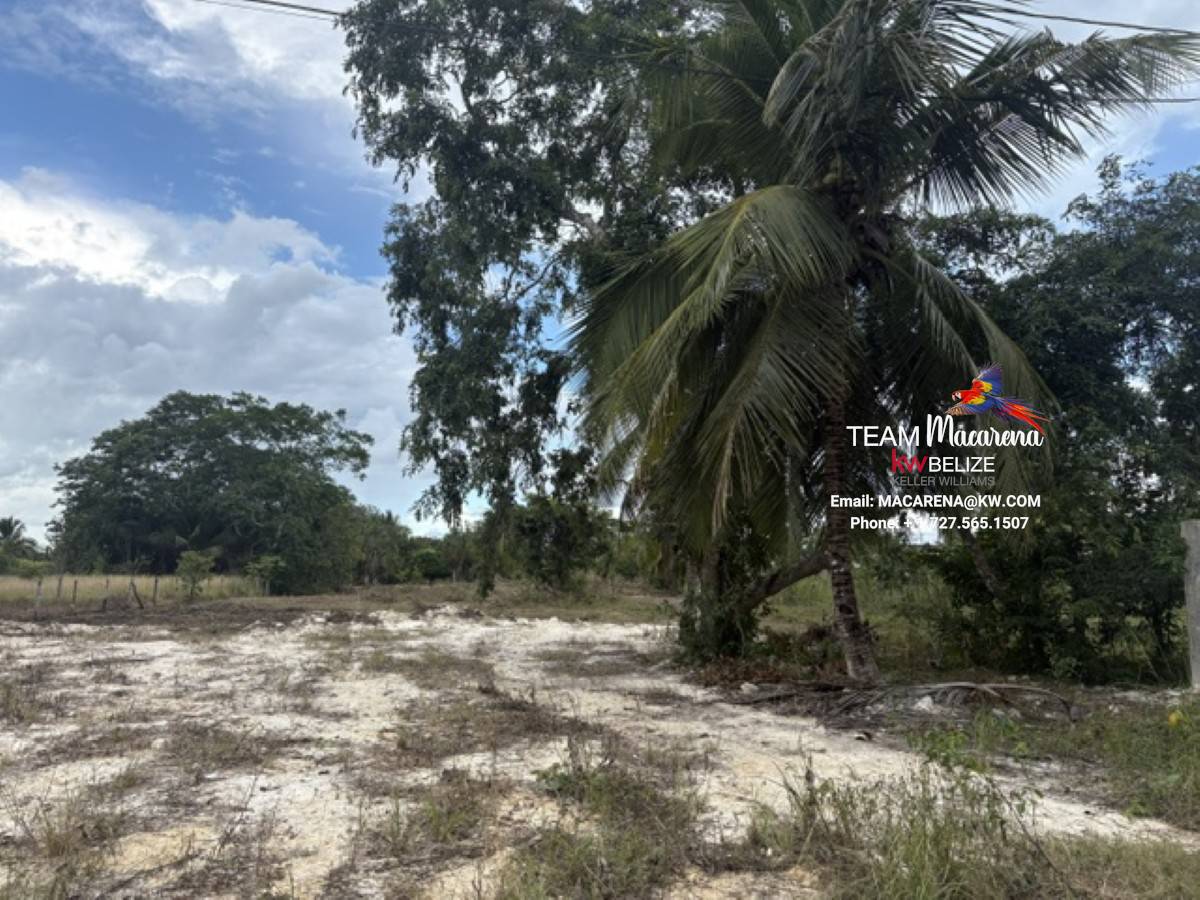 Affordable Land Carmelita Village