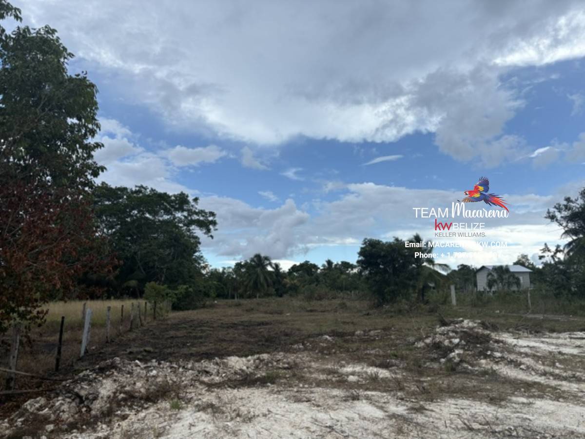 Affordable Land in Carmelita Village