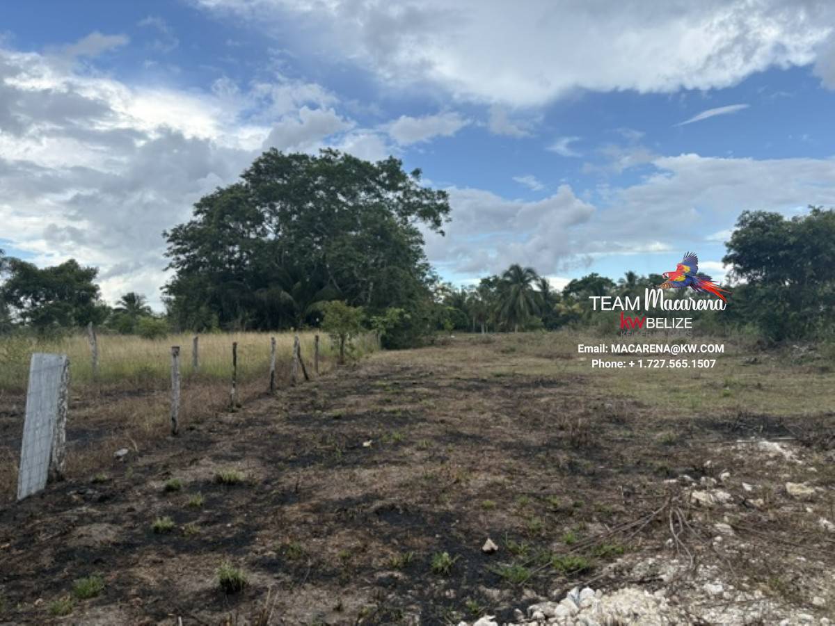 Affordable Land in Carmelita Village