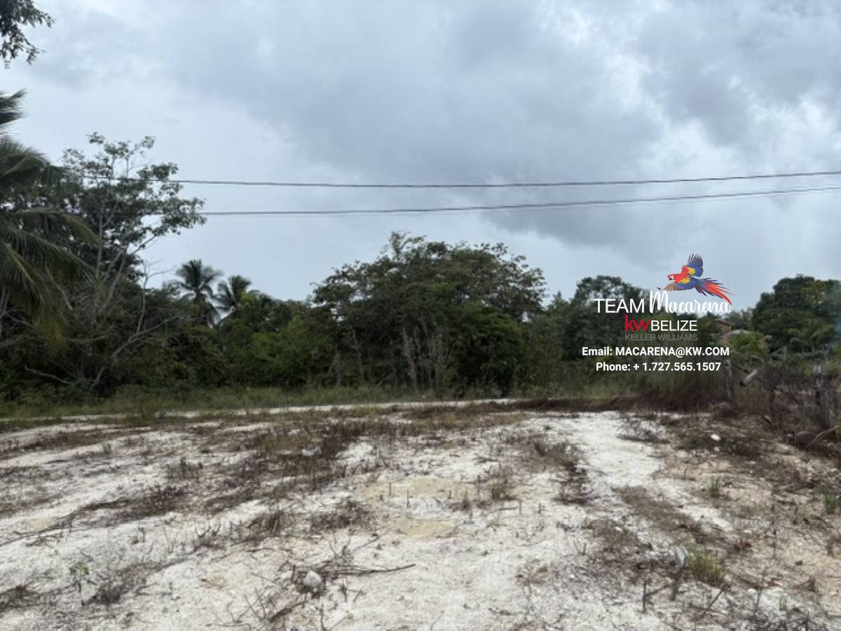 Affordable Land in Carmelita Village