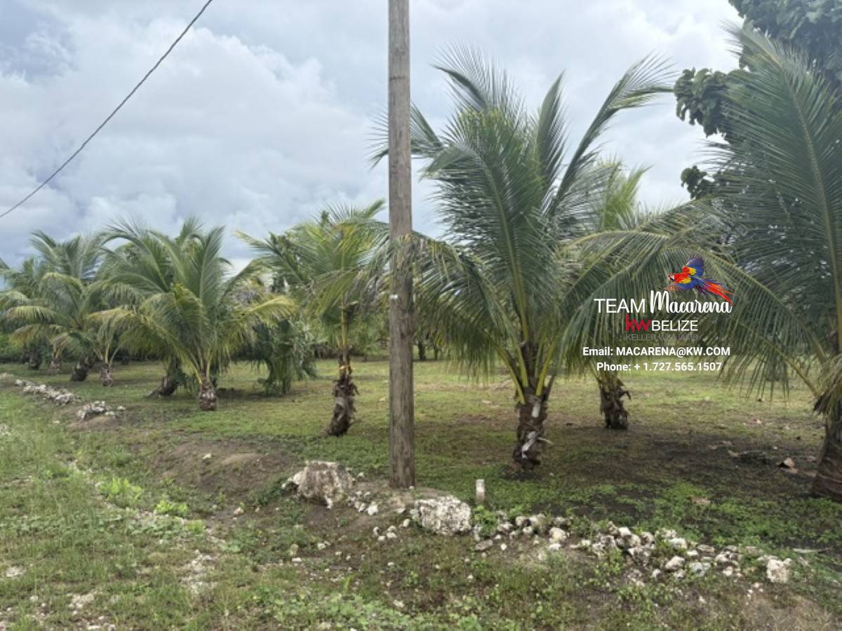 Affordable Lots for Sale in Valley of Peace1 Affordable Lots for Sale in Valley of Peace