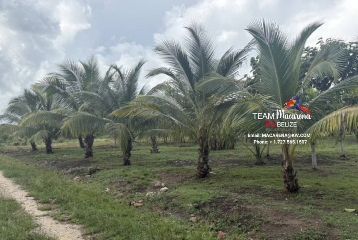 1170