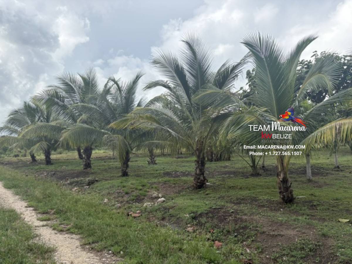 Affordable Lots for Sale in Valley of Peace10 Affordable Lots for Sale in Valley of Peace