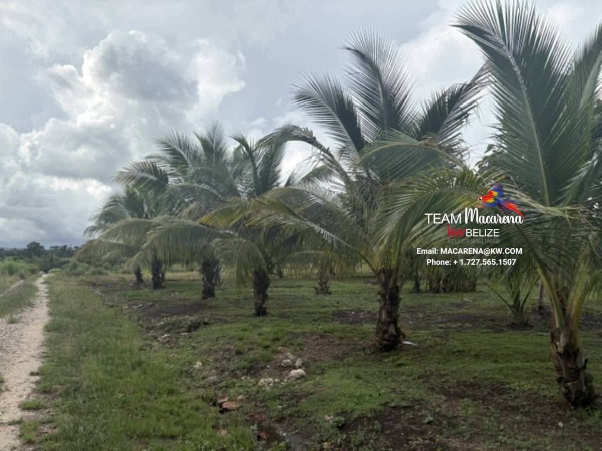 Affordable Lots for Sale in Valley of Peace11 Affordable Lots for Sale in Valley of Peace