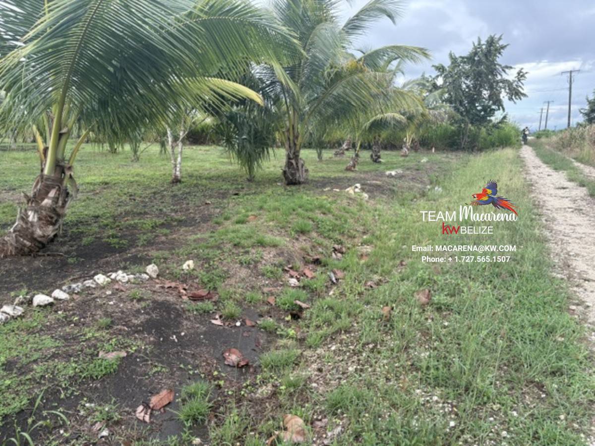 Affordable Lots for Sale in Valley of Peace13 Affordable Lots for Sale in Valley of Peace