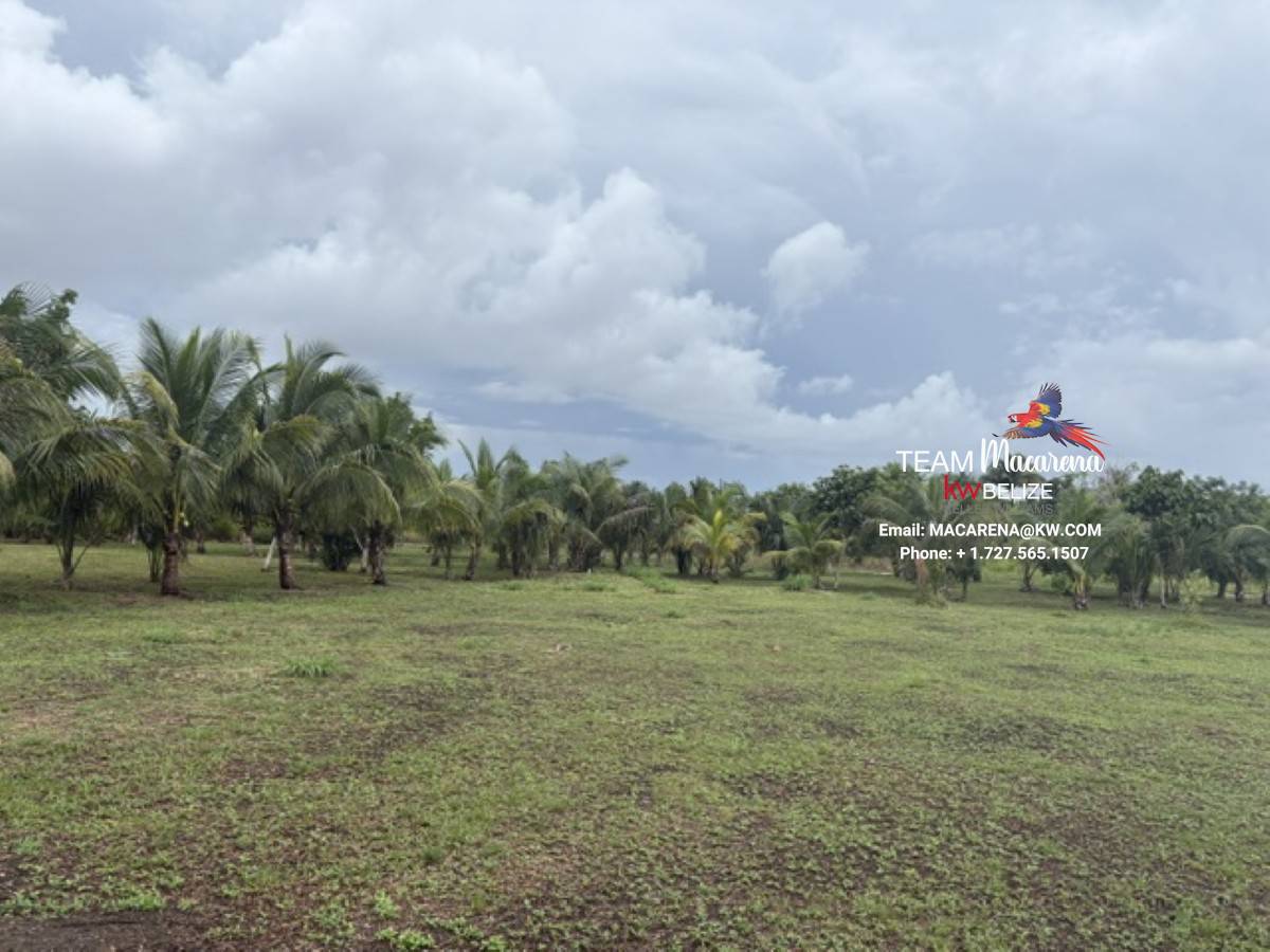 Affordable Lots for Sale in Valley of Peace14 Affordable Lots for Sale in Valley of Peace