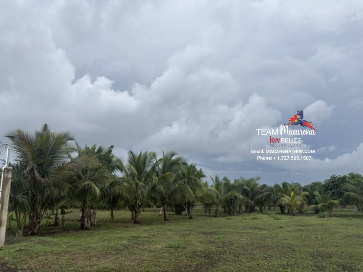 Affordable Lots for Sale in Valley of Peace15 Affordable Lots for Sale in Valley of Peace