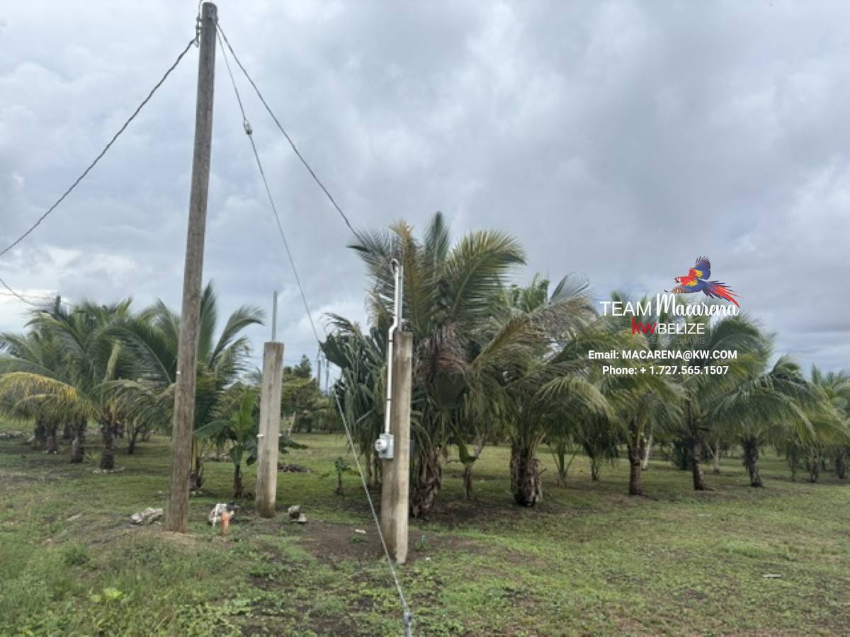 Affordable Lots for Sale in Valley of Peace16 Affordable Lots for Sale in Valley of Peace