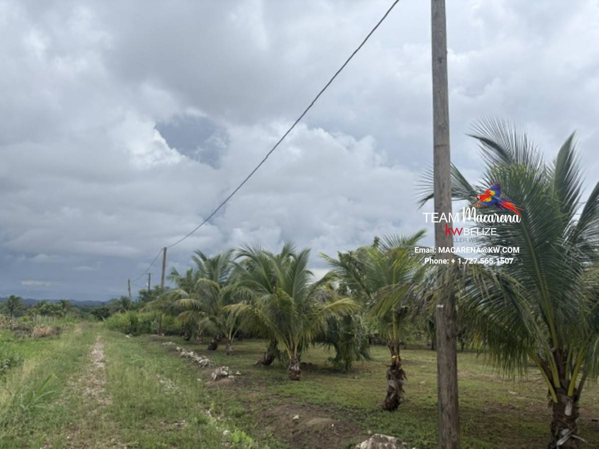 Affordable Lots for Sale in Valley of Peace2 Affordable Lots for Sale in Valley of Peace