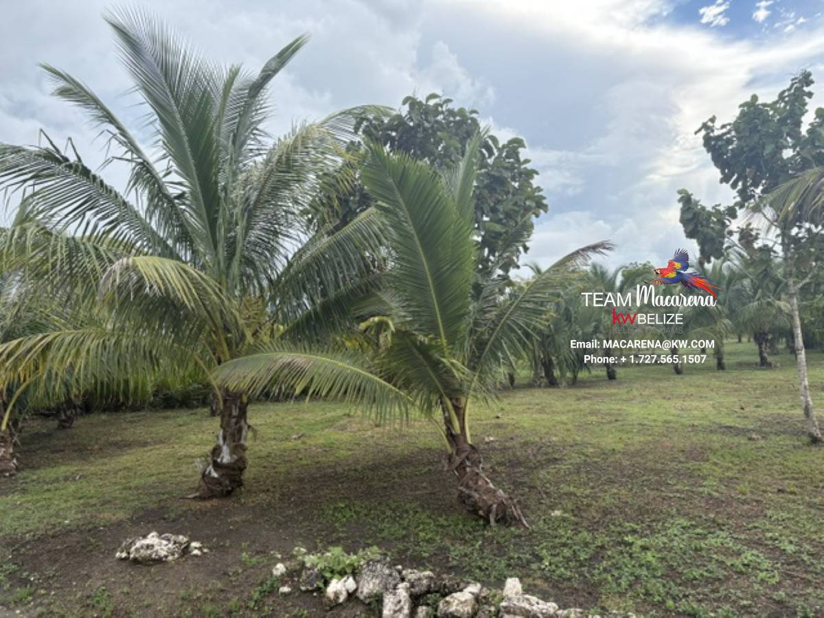 Affordable Lots for Sale in Valley of Peace3 Affordable Lots for Sale in Valley of Peace