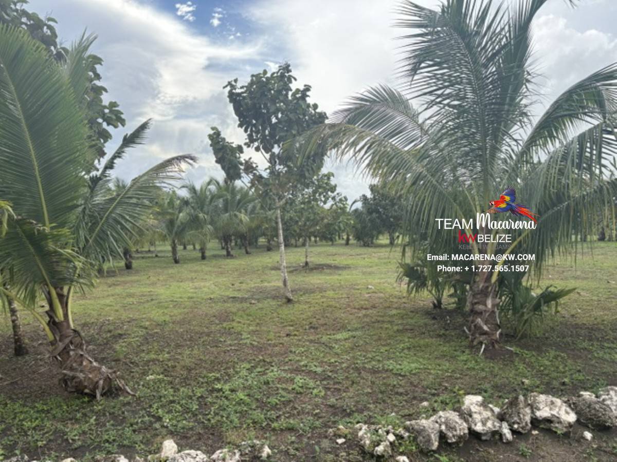 Affordable Lots For Sale In Valley Of Peace