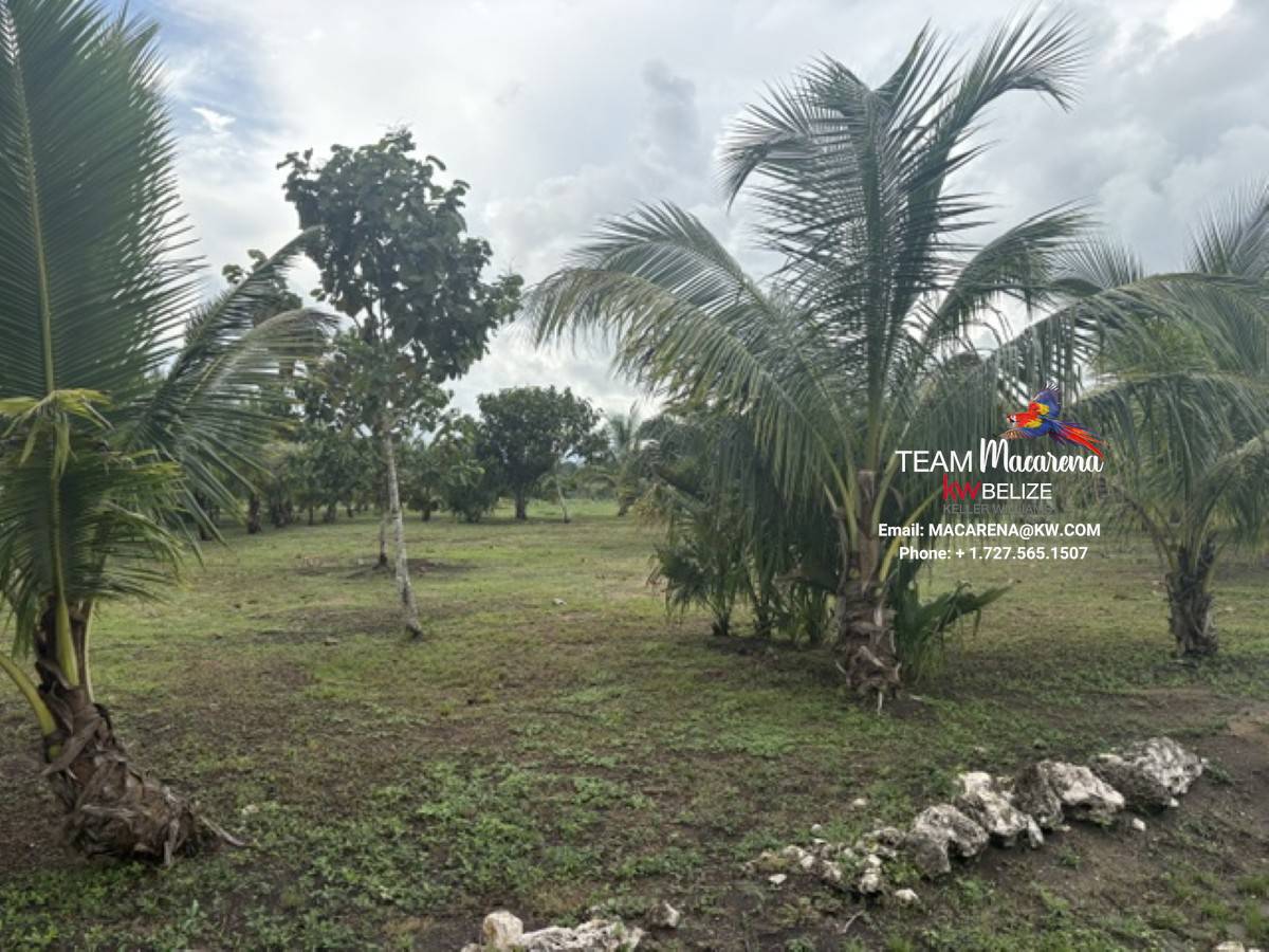 Affordable Lots for Sale in Valley of Peace5 Affordable Lots for Sale in Valley of Peace