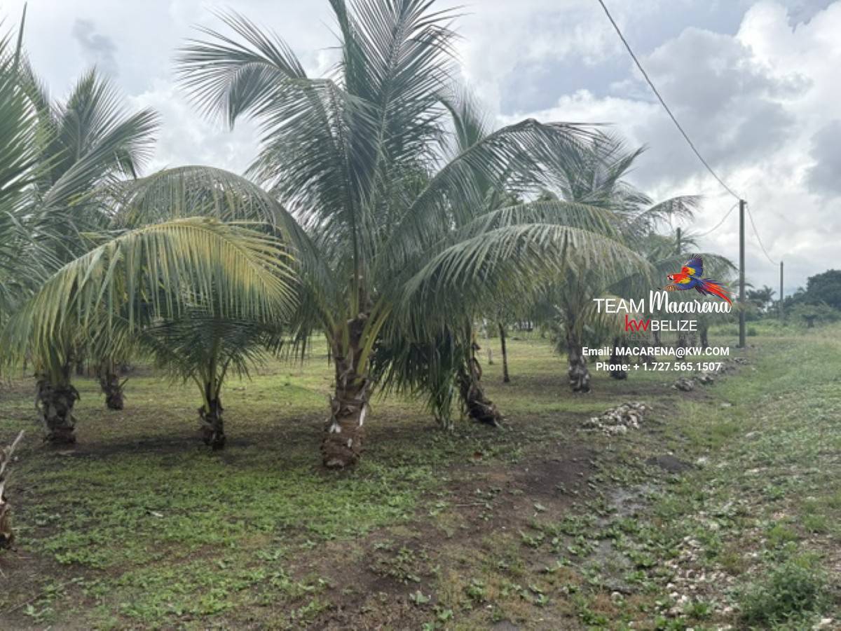 Affordable Lots for Sale in Valley of Peace6 Affordable Lots for Sale in Valley of Peace