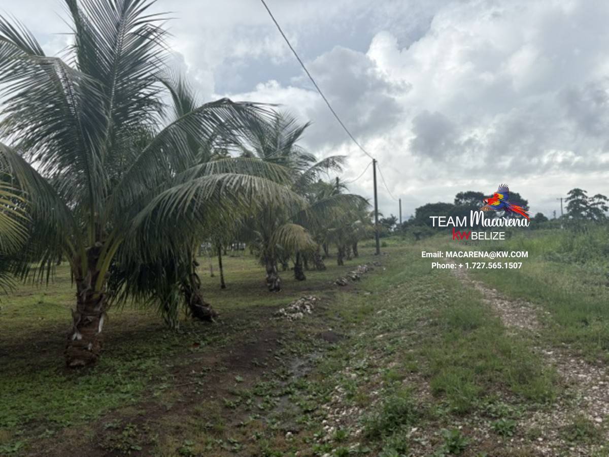Affordable Lots for Sale in Valley of Peace7 Affordable Lots for Sale in Valley of Peace