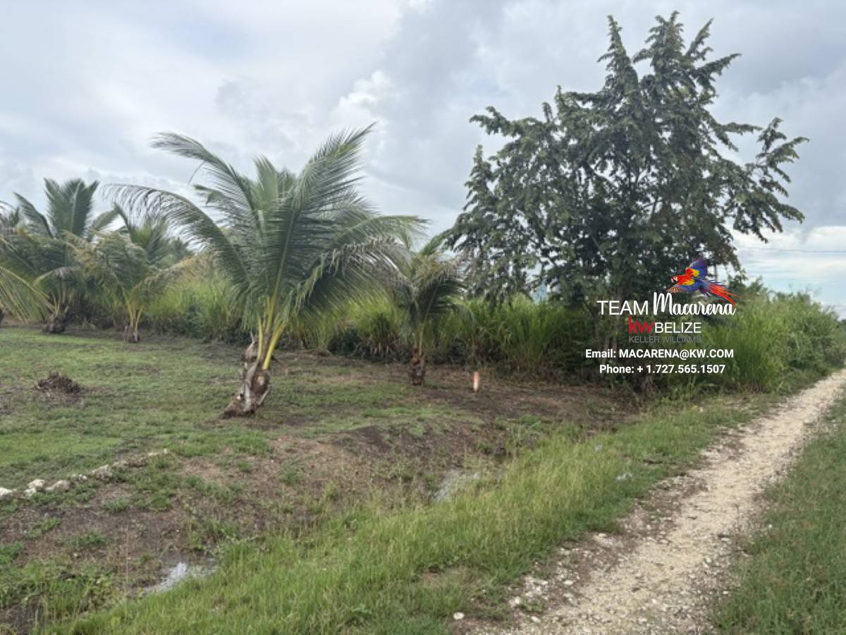 Affordable Lots for Sale in Valley of Peace9 Affordable Lots for Sale in Valley of Peace