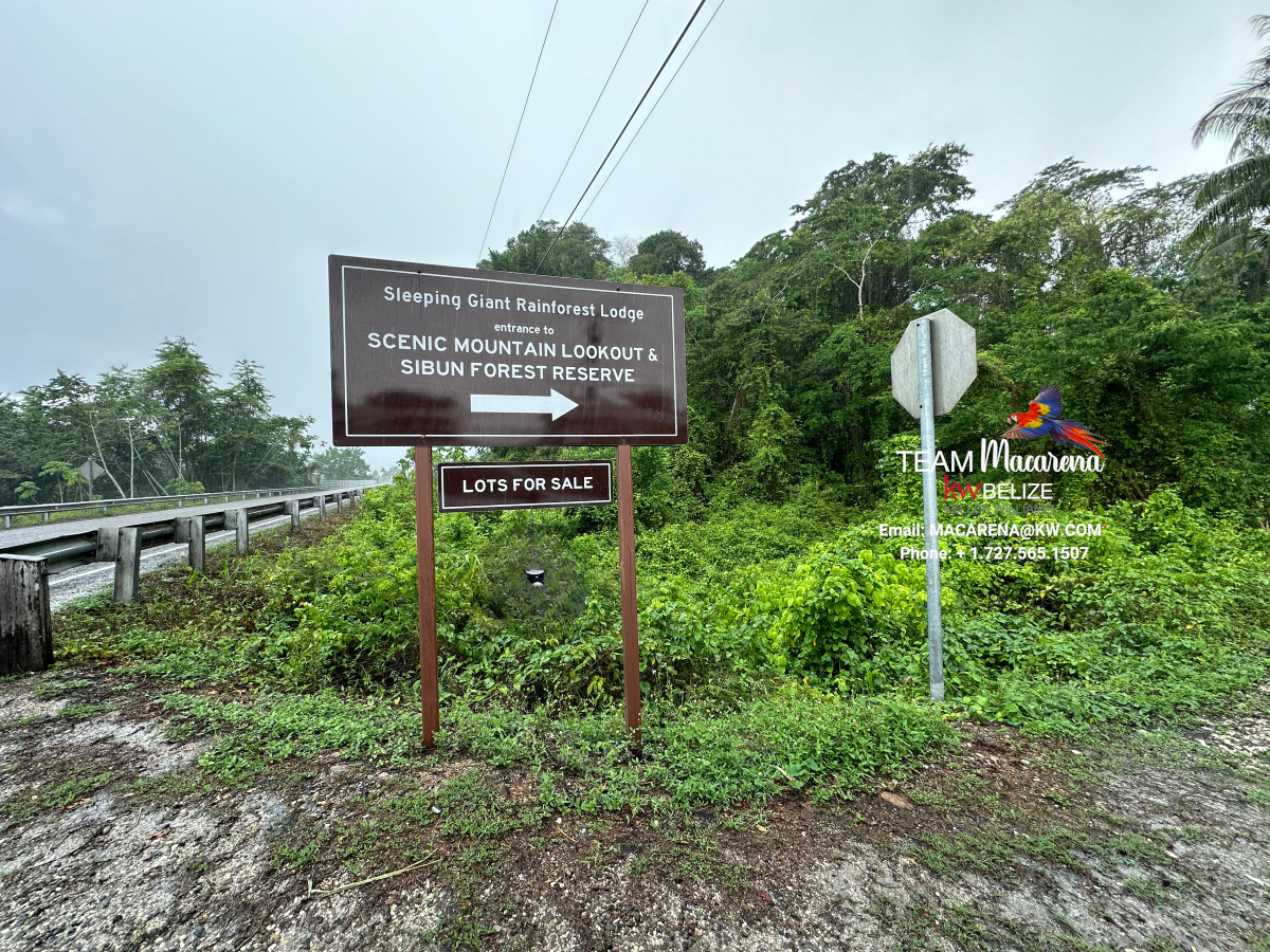 Affordable Lots on Hummingbird Highway