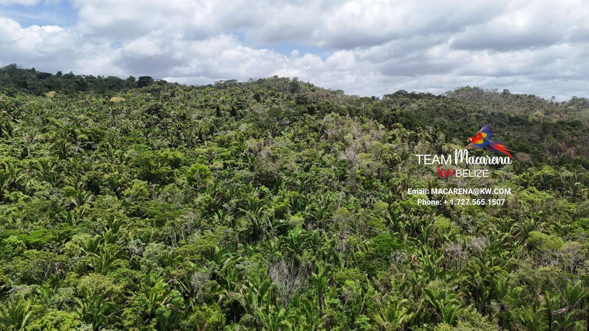 Affordable Lots on Hummingbird Highway