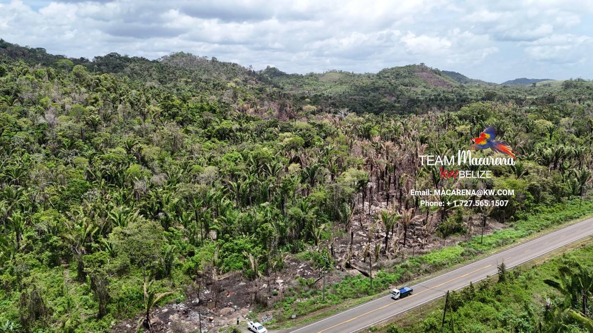 Affordable Lots On Hummingway Highway
