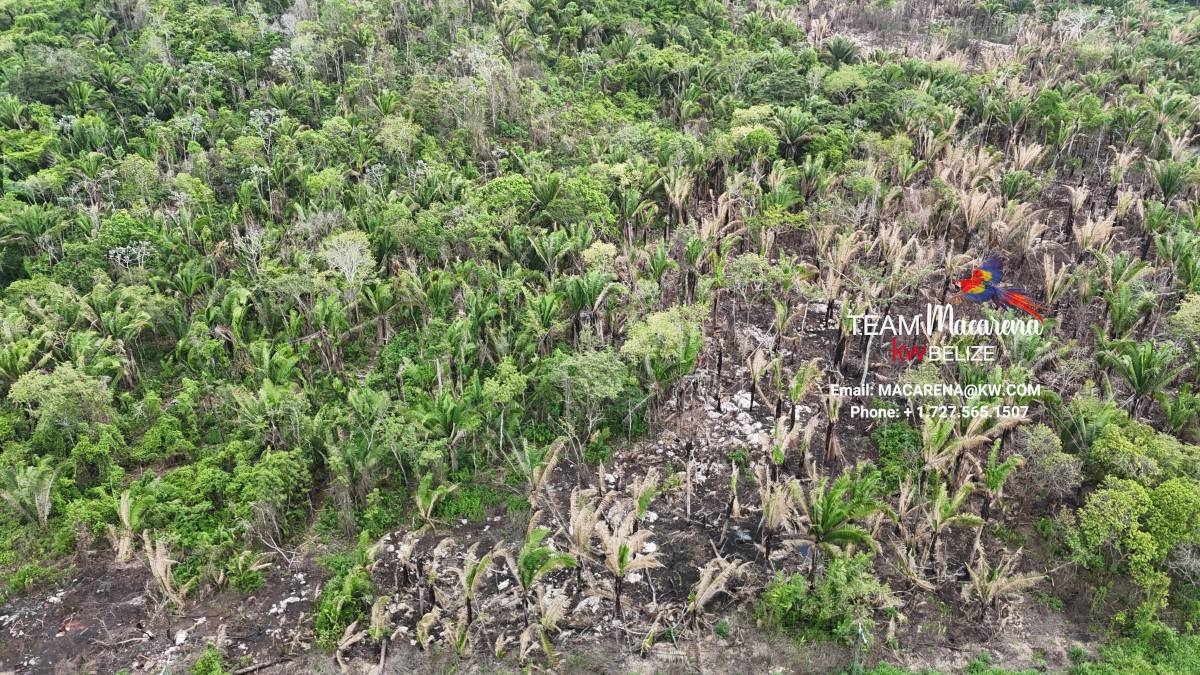 Affordable Lots on Hummingbird Highway
