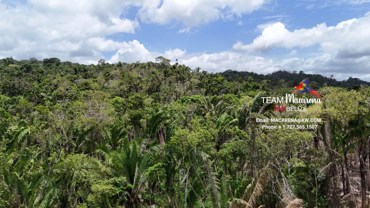 Affordable Lots on Hummingbird Highway